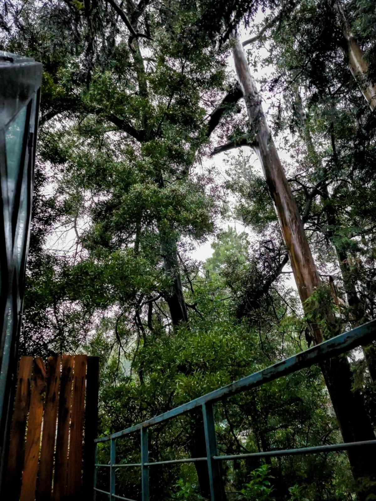 Hotel Woodhouse Utakamand Zewnętrze zdjęcie